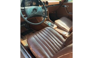 Mercedes-benz-450sl-1973-Metallic-Gold-Sable-Brown-1