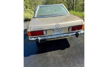 Mercedes-benz-450sl-1973-Metallic-Gold-Sable-Brown