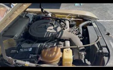 Mercedes-benz-450sl-1973-Metallic-Gold-Sable-Brown-4
