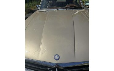 Mercedes-benz-450sl-1973-Metallic-Gold-Sable-Brown-5
