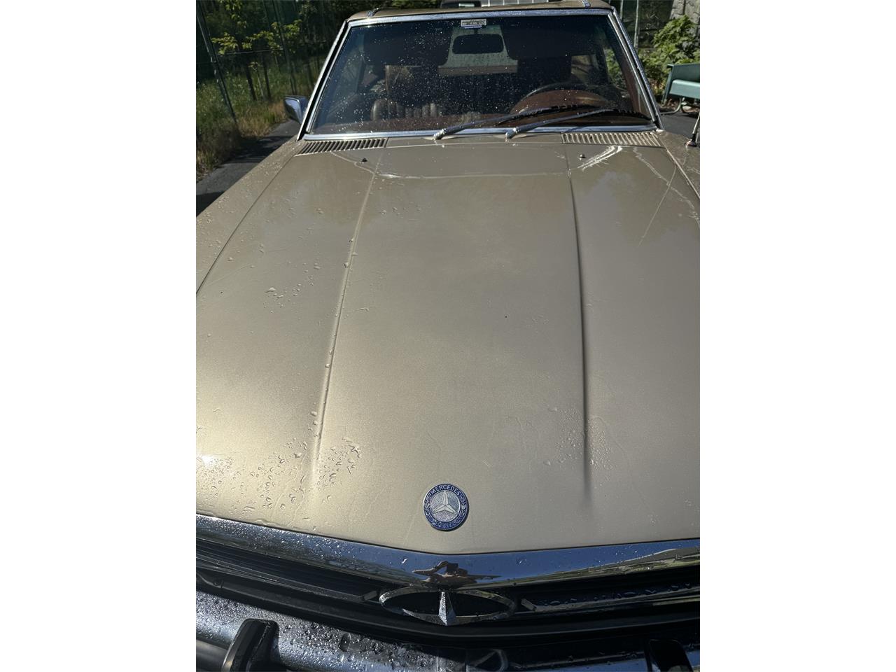 Mercedes-benz-450sl-1973-Metallic-Gold-Sable-Brown-5