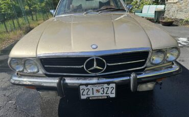 Mercedes-benz-450sl-1973-Metallic-Gold-Sable-Brown-6