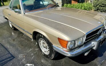 Mercedes-benz-450sl-1973-Metallic-Gold-Sable-Brown-7