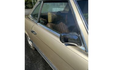 Mercedes-benz-450sl-1973-Metallic-Gold-Sable-Brown-8