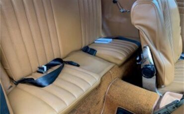 Mercedes-benz-450sl-1976-Orange-Red-Tan-13