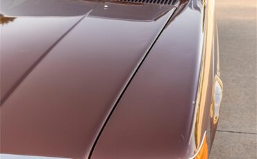 Mercedes-benz-450slc-1976-Milan-Brown-Cream-34