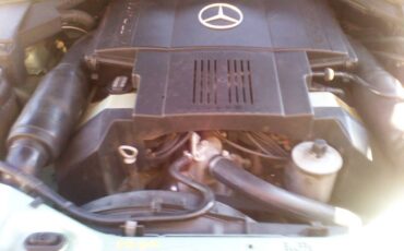 Mercedes-benz-500-sel-1992-green-4