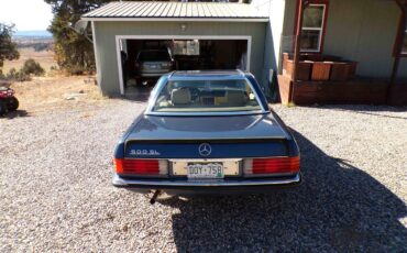 Mercedes-benz-500sl-1984-Blue-Tan-5