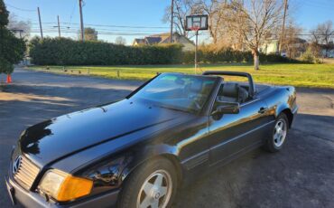 Mercedes-benz-500sl-1991-Dark-blue-Dark-blue-13