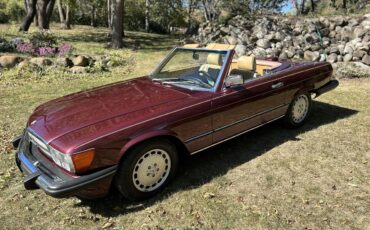 Mercedes-benz-560sl-1986-Maroon-Tan-11