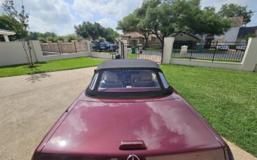 Mercedes-benz-560sl-1988-Cabernet-DB507-Biscuit-Mushroom-275-1