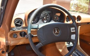Mercedes-benz-Other-1975-Custom-Brown-14