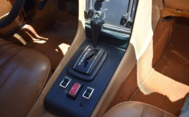 Mercedes-benz-Other-1975-Custom-Brown-15