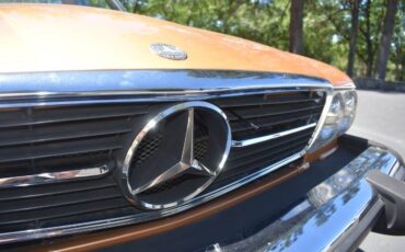 Mercedes-benz-Other-1975-Custom-Brown-4
