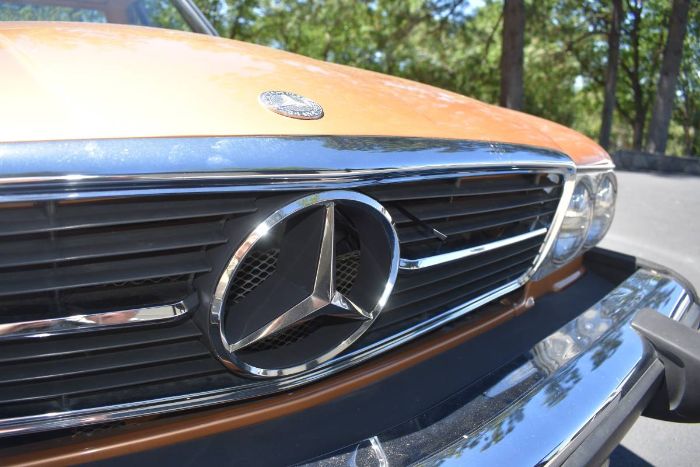 Mercedes-benz-Other-1975-Custom-Brown-4