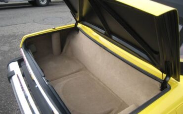 Mercedes-benz-Other-1975-Yellow-11