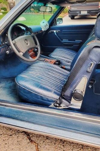 Mercedes-benz-Other-1976-5