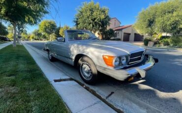Mercedes-benz-Other-1976-Silver-Red-11