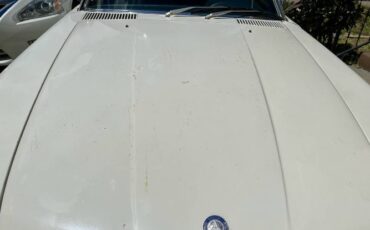 Mercedes-benz-Other-1976-White-11