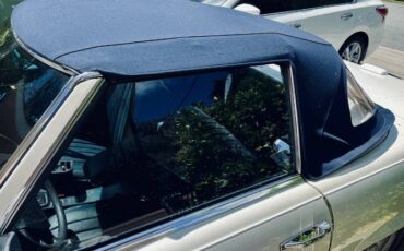 Mercedes-benz-Other-1976-White-7