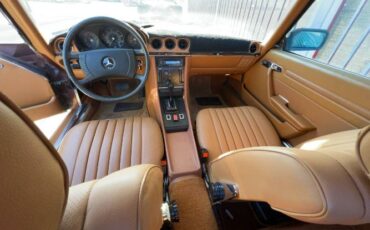 Mercedes-benz-Other-1977-Brown-1