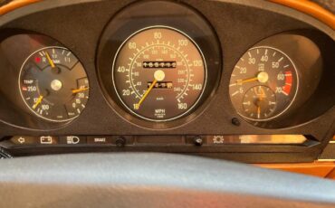 Mercedes-benz-Other-1977-Brown-10