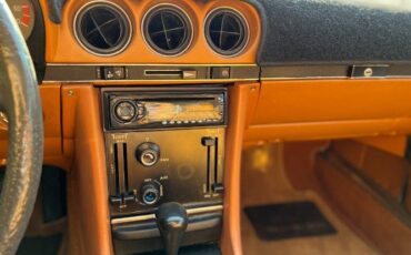 Mercedes-benz-Other-1977-Brown-11