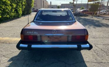 Mercedes-benz-Other-1977-Brown-15