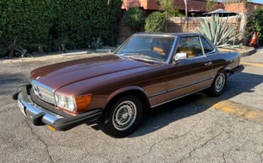 Mercedes-benz-Other-1977-Brown-17