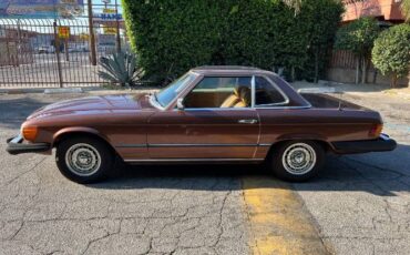 Mercedes-benz-Other-1977-Brown-18