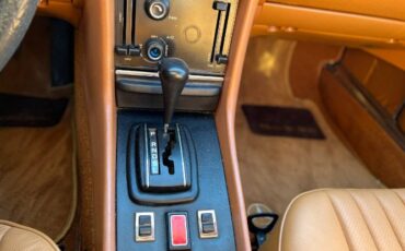 Mercedes-benz-Other-1977-Brown-2
