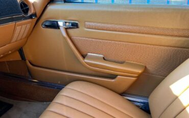 Mercedes-benz-Other-1977-Brown-3
