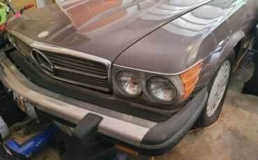 Mercedes-benz-Other-1977-Brown