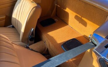 Mercedes-benz-Other-1977-Brown-4