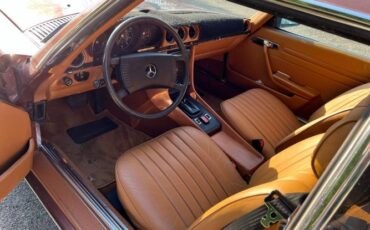 Mercedes-benz-Other-1977-Brown-7