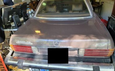 Mercedes-benz-Other-1977-Brown-7
