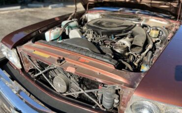 Mercedes-benz-Other-1977-Brown-8