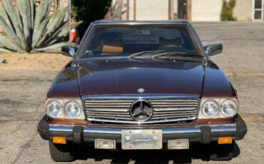 Mercedes-benz-Other-1977-Brown-9
