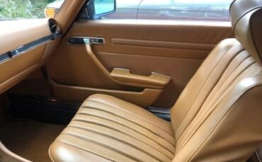 Mercedes-benz-Other-1977-Red-Tobacco-1