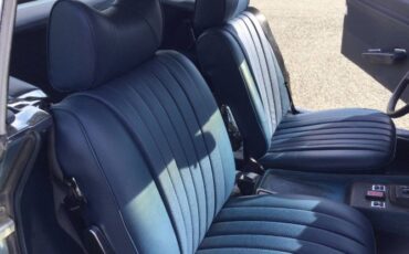 Mercedes-benz-Other-1978-Blue-3