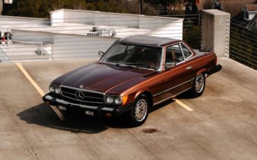 Mercedes-benz-Other-1978-Brown-10