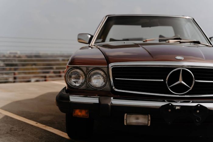 Mercedes-benz-Other-1978-Brown-11