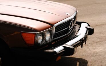 Mercedes-benz-Other-1978-Brown-13
