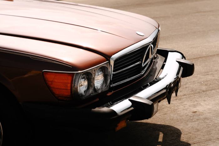 Mercedes-benz-Other-1978-Brown-13