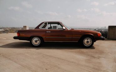 Mercedes-benz-Other-1978-Brown-14