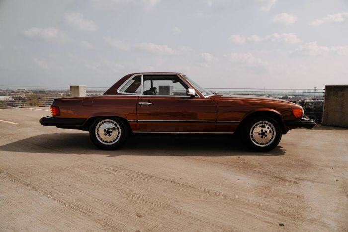 Mercedes-benz-Other-1978-Brown-14