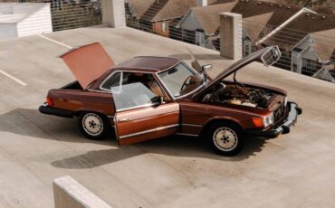 Mercedes-benz-Other-1978-Brown-15