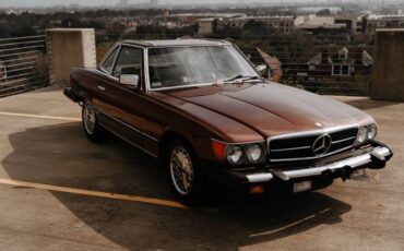Mercedes-benz-Other-1978-Brown-16