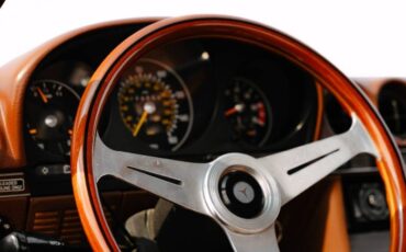 Mercedes-benz-Other-1978-Brown-17