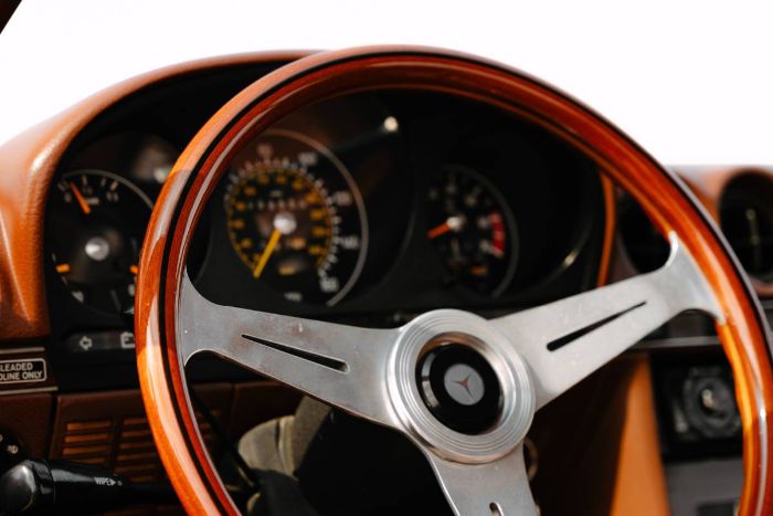 Mercedes-benz-Other-1978-Brown-17